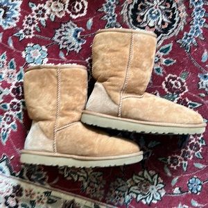 Chestnut women’s Uggs Size 7